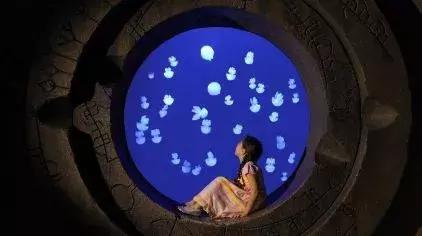 沉浸式乐园强势来袭游客“刷刷刷”不停