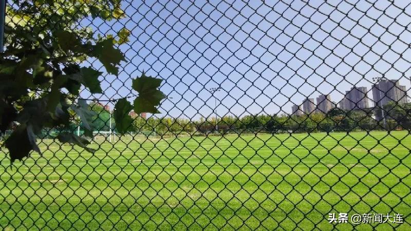 大连赏秋免费的地方,大连赏秋打卡地