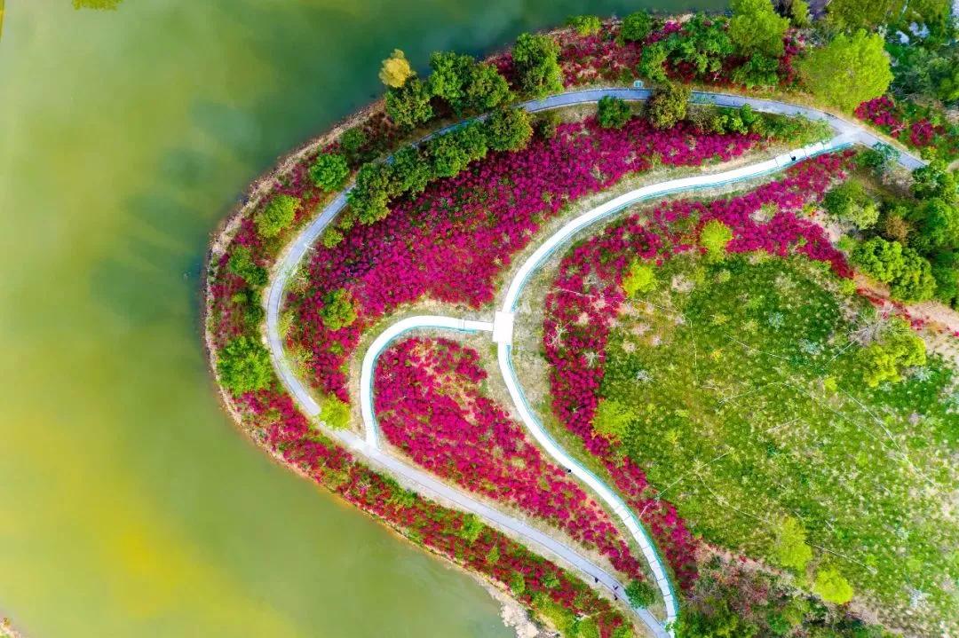 你好，我叫龙岗！欢迎你回来