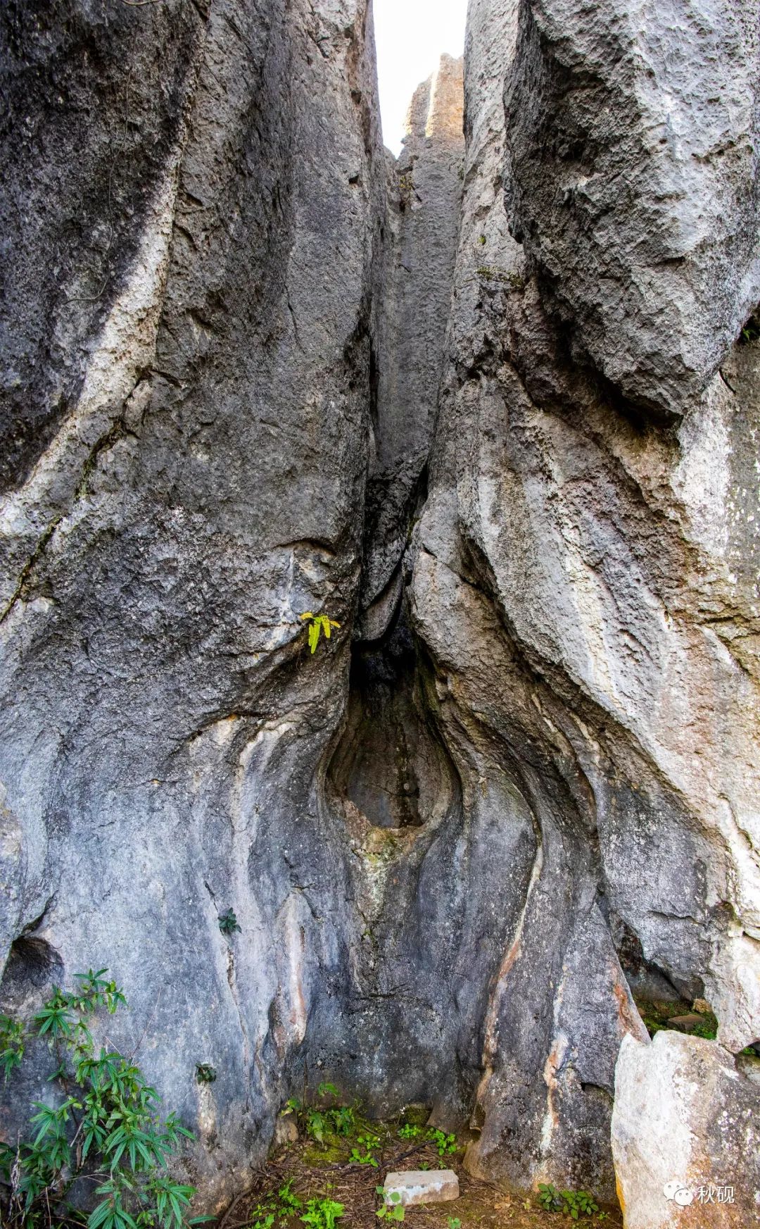 周游西南随记(六)弥蒙的万峰林