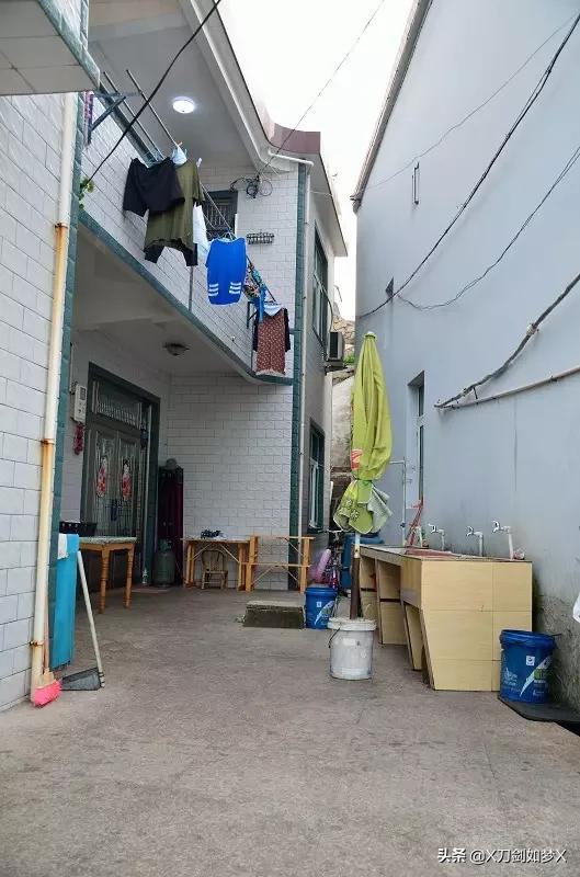 一位导游的枸杞岛之旅 (枸杞岛2021年原创游记攻略分享)