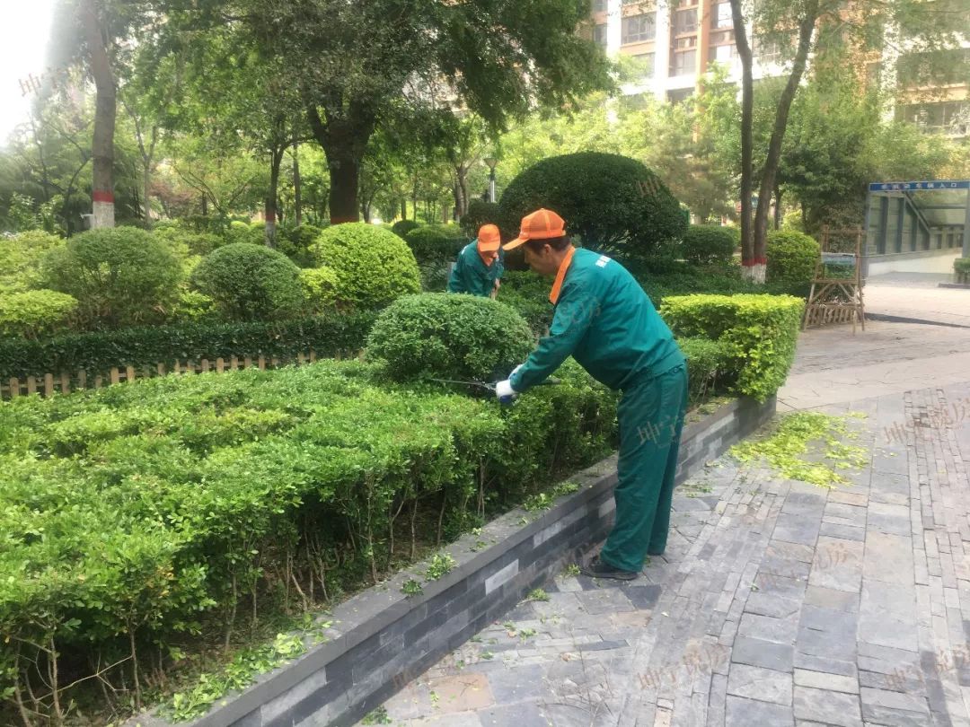 长安区哪个楼盘值得入手,长安板块楼盘有哪些好点