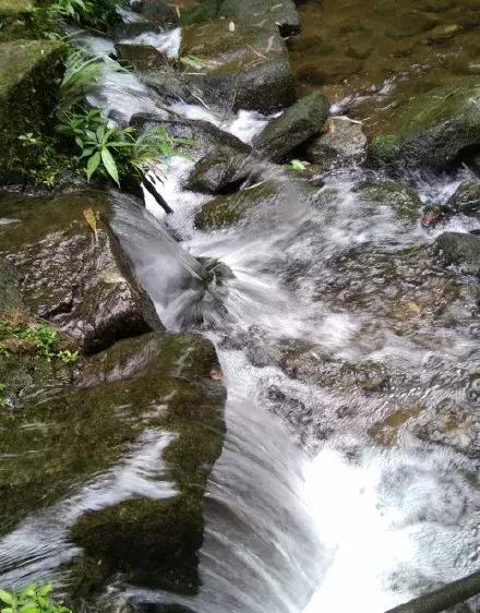 成都秋老虎发威的地方,成都秋老虎最新视频