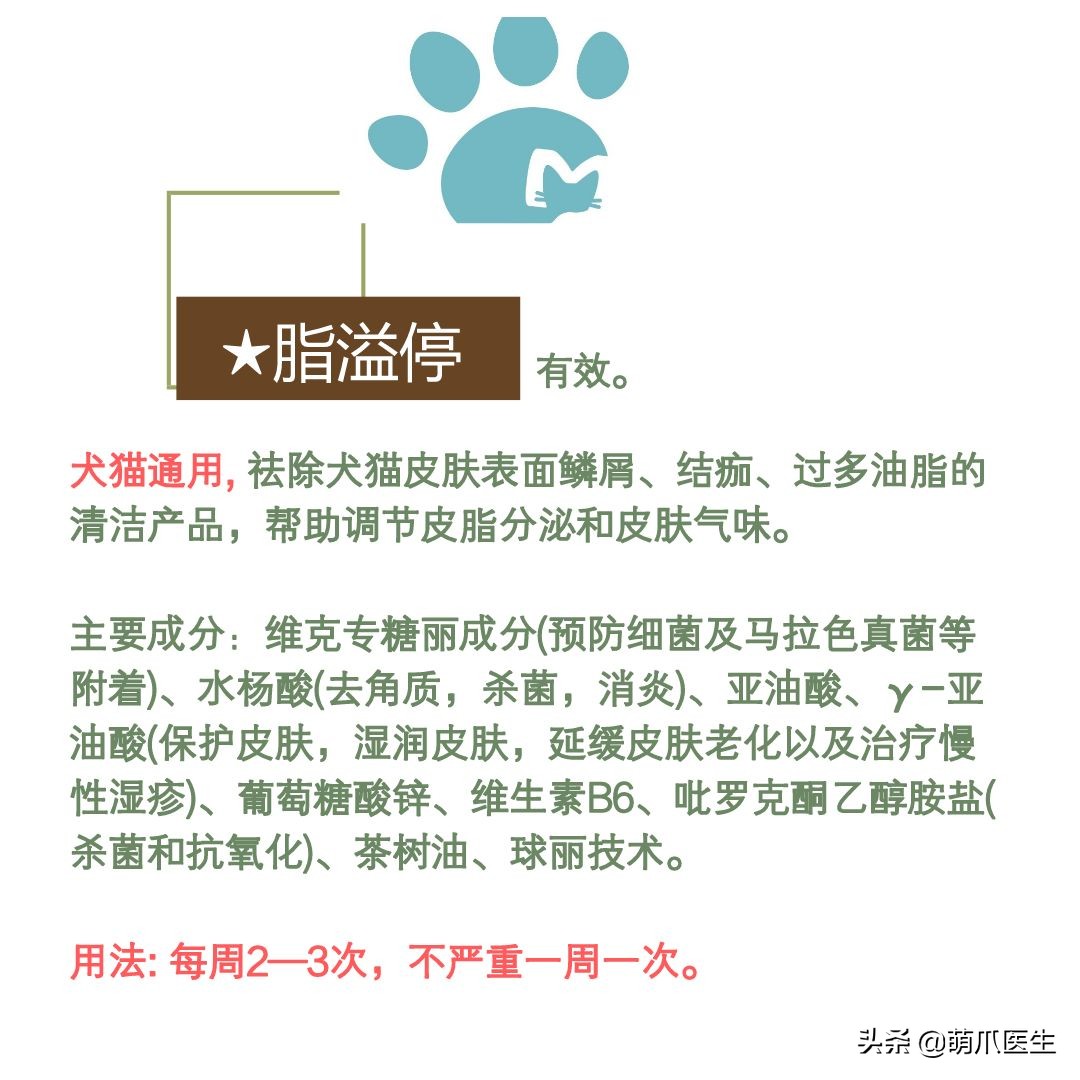 猫咪黑下巴毛囊炎的终极解决办法,猫咪有毛囊炎胡须还能长出来吗