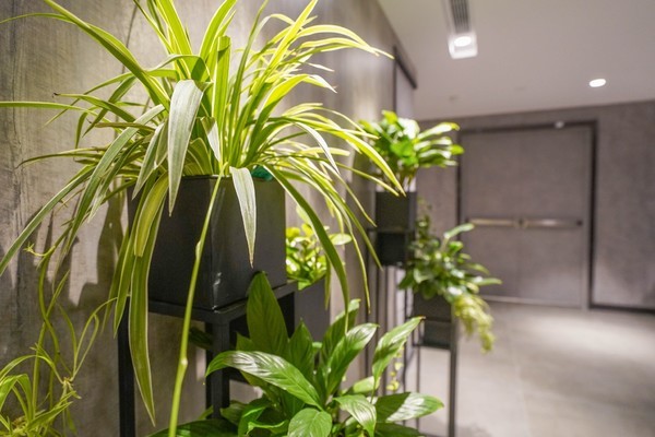 白云机场转机住宿推荐,白云机场转机免费住宿