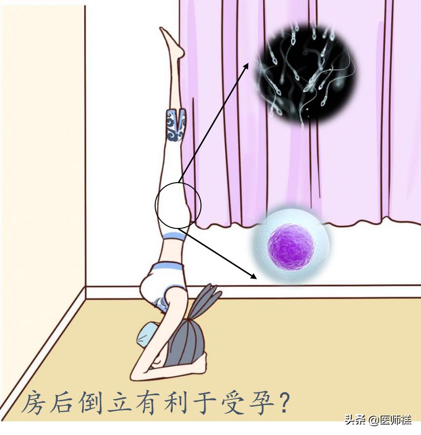 备孕时女人倒立真的更容易怀孕吗,备孕倒立多长时间最佳