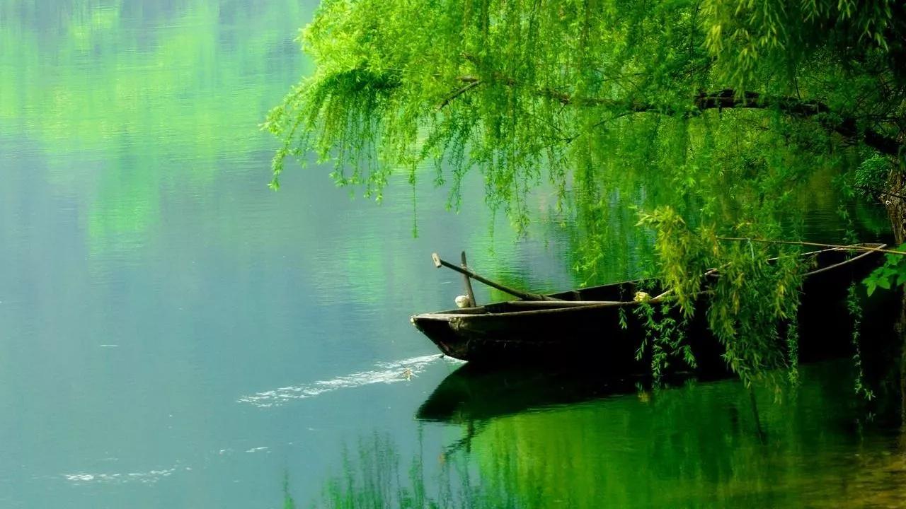 如何跟自己讨厌的人相处,如何学会和讨厌的人在一起生活