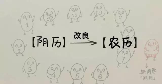 历法知识大科普儿童,周六的历法知识