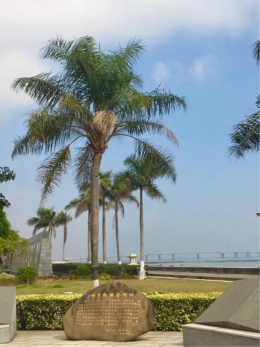 厦门集美园林博物馆,这是一个很有名气的博物馆