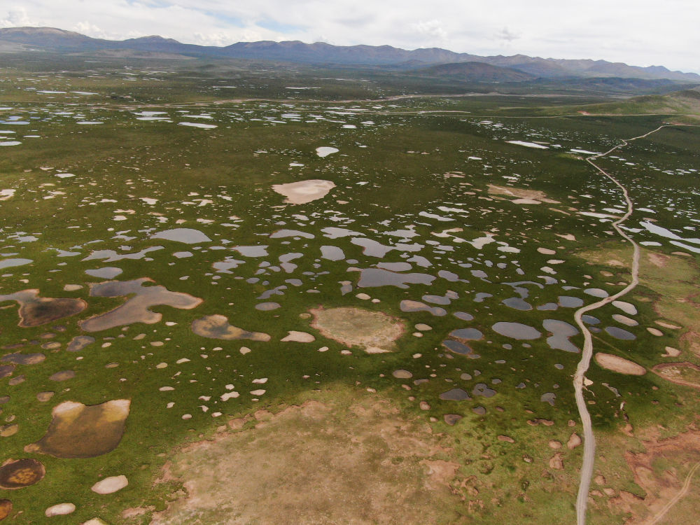 长江和黄河通大海吗,长江跟黄河都是跟大海连接的吗