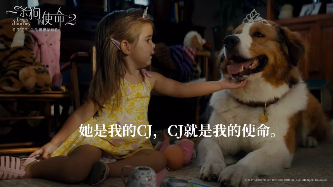 暖心治愈萌宠电影,萌宠电影超感人