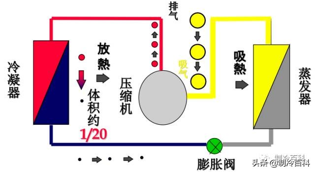 制冷高级讲座,制冷讲座
