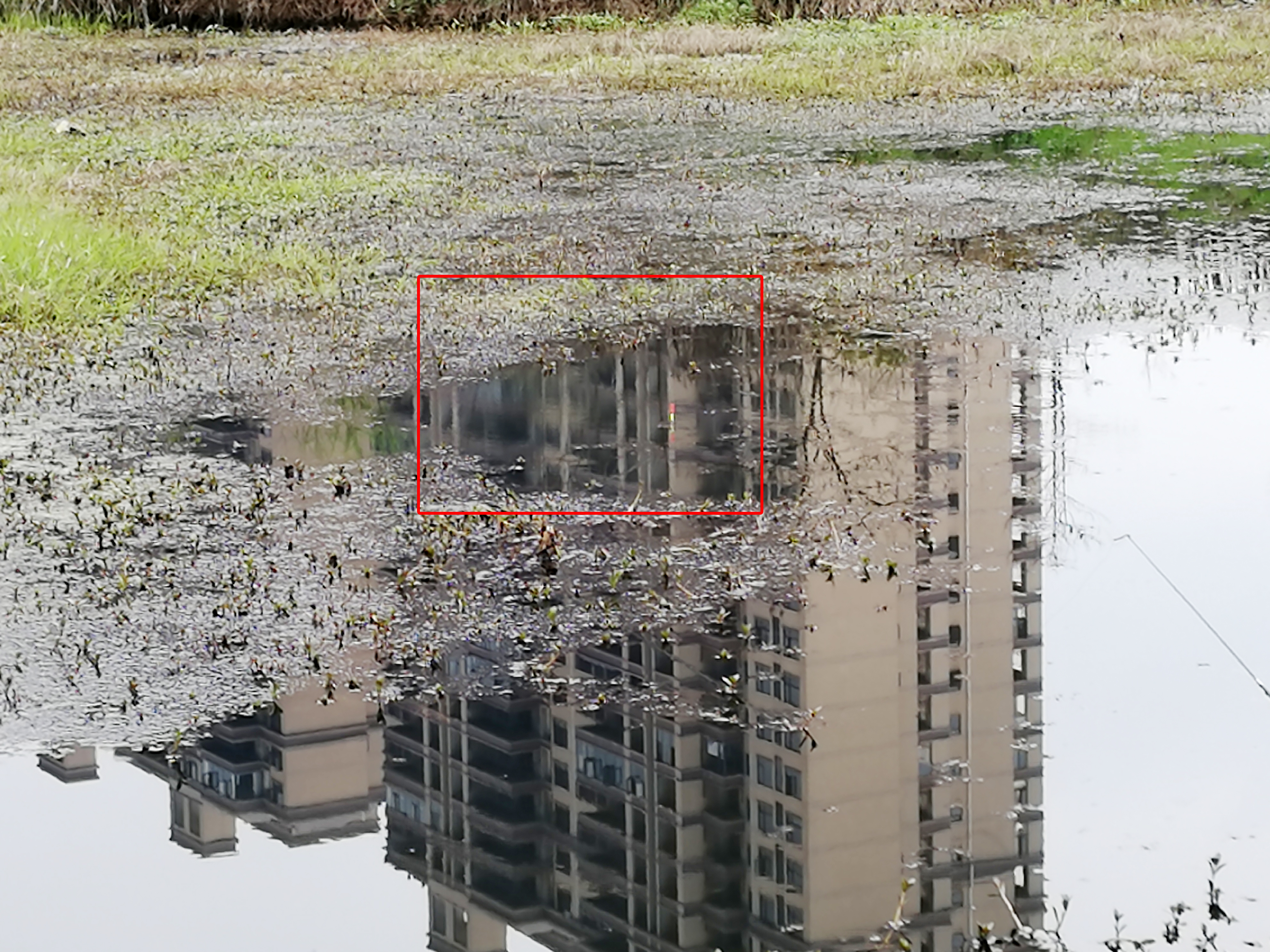 怎样钓黑鱼最好方法,黑鱼垂钓技巧