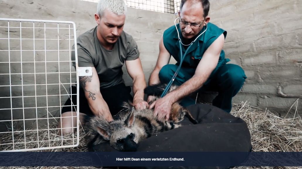 放弃百万年薪，去非洲撸猫？长腿版小李子引63w人舔屏：看我看我