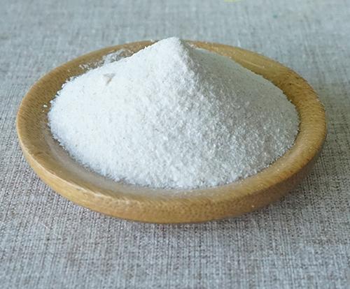 狗烂皮是怎么回事,狗烂嘴怎么办最快最有效