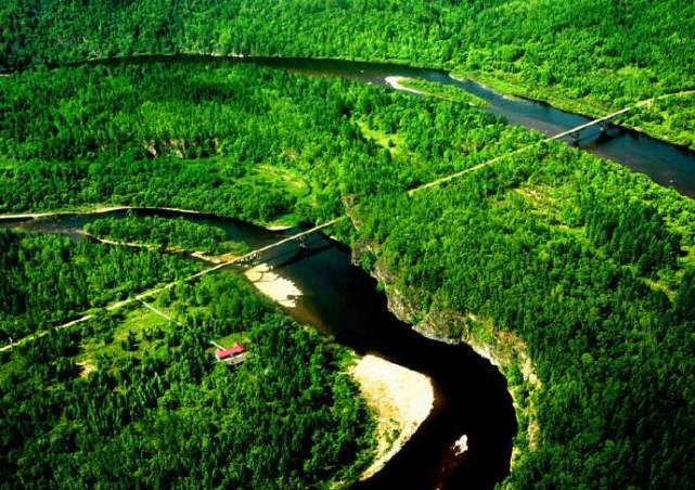 在中俄边界有这么一条原始河流,可以钓到冷水鱼“湖鱥”