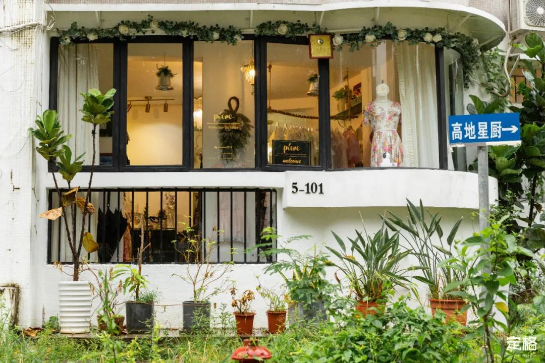 深圳周末打卡地点排行榜,深圳秋季打卡攻略