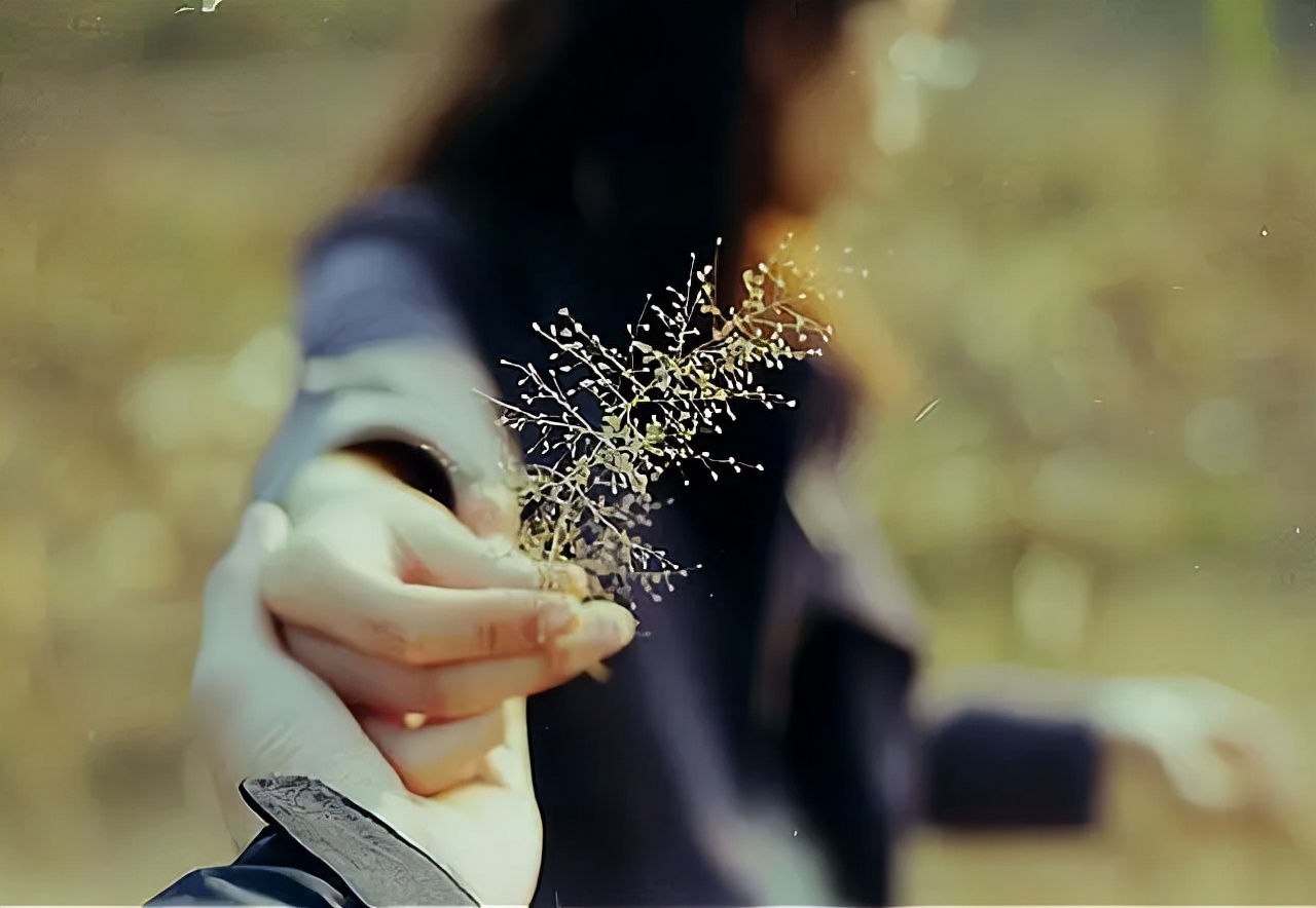 不抱怨生活不会因为抱怨而变化,当你真正学会不抱怨的时候