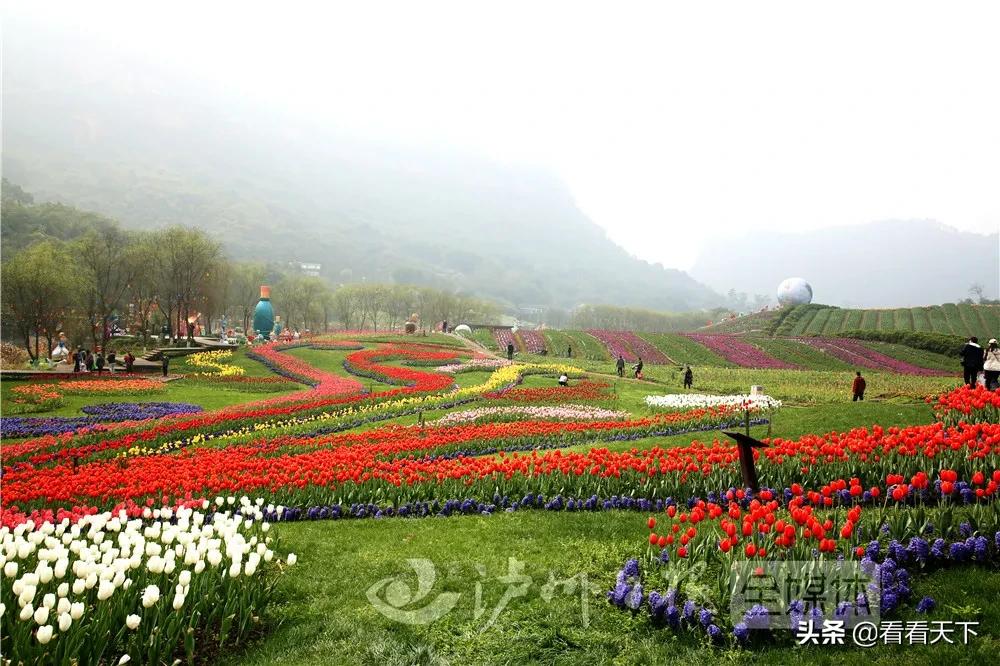泸州四季花海开放了吗现在,泸州3月赏花胜地心花怒放在哪