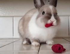 儿童发烧屁红疼怎么办,宝宝发烧屁屁红了怎么办