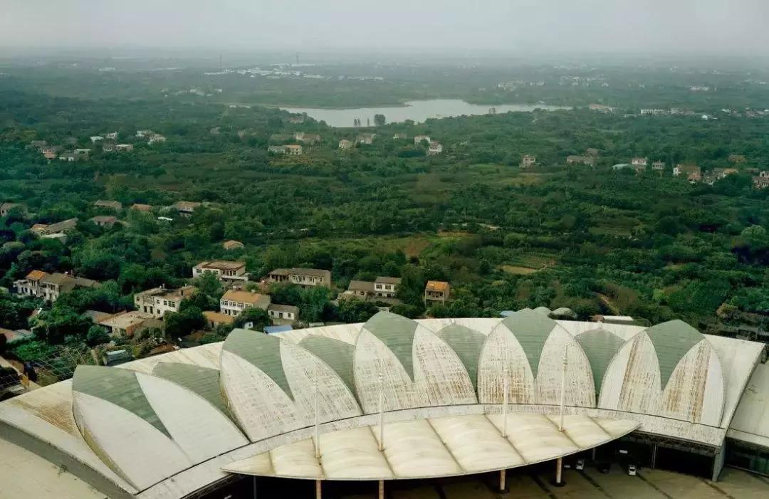 闻名的花木之乡,著名花木基地