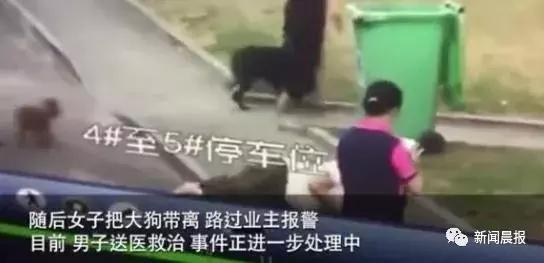 女子遛狗不牵绳！男子遭狗撕咬*体下**受伤，狗主人四天不露面