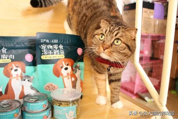 网易严选猫咪冻干零食,网易严选猫零食罐测评