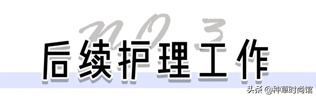 这5类人不能打疫苗,第一次打耳洞千万别踩雷