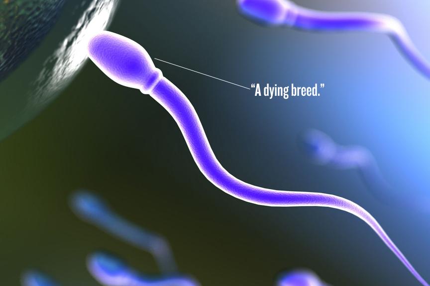 念珠菌病的病原及症状如何医治,念珠菌病最常见的感染部位