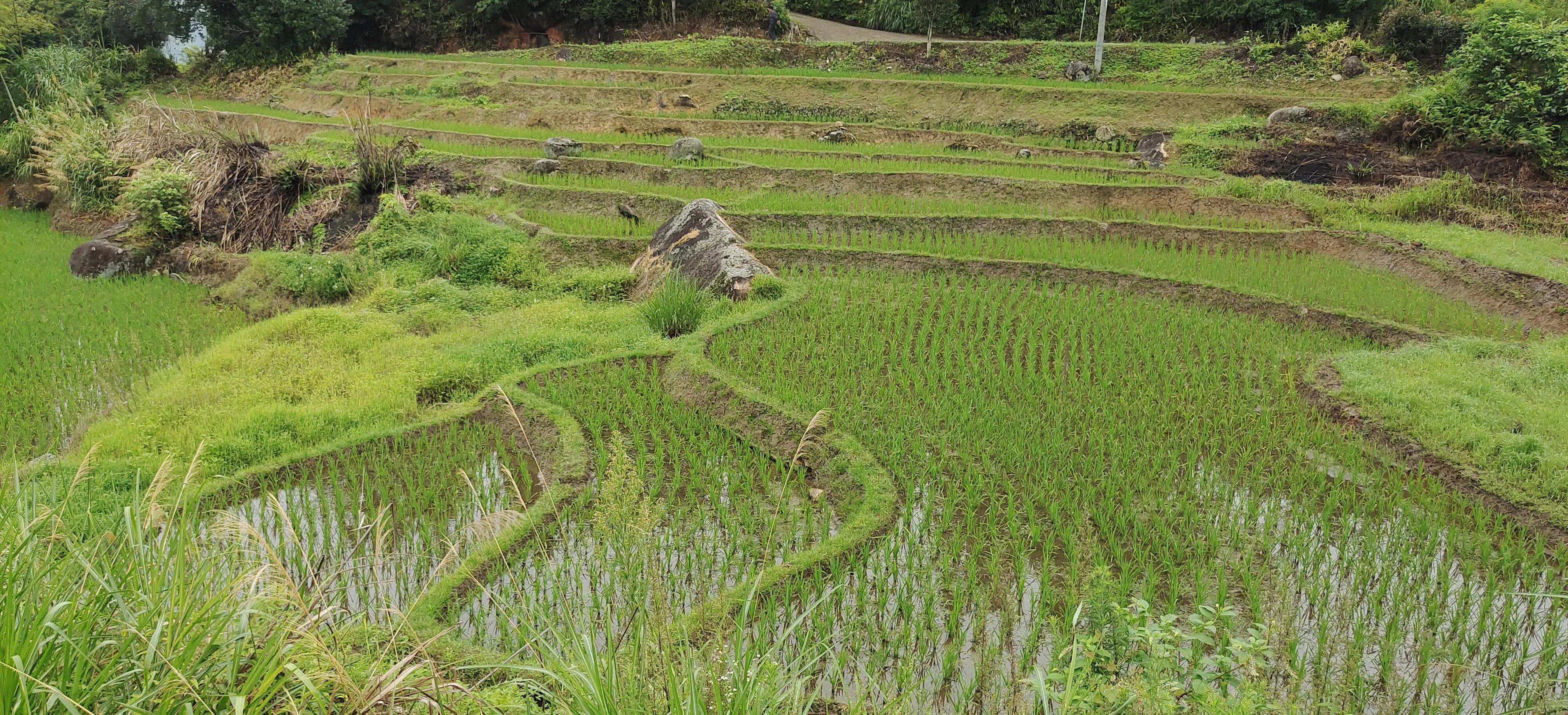 登上绝壁悬崖感受一览众山小,登上泰山之巅的感觉