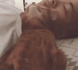 自从有了猫,自从有了猫慢慢变多余