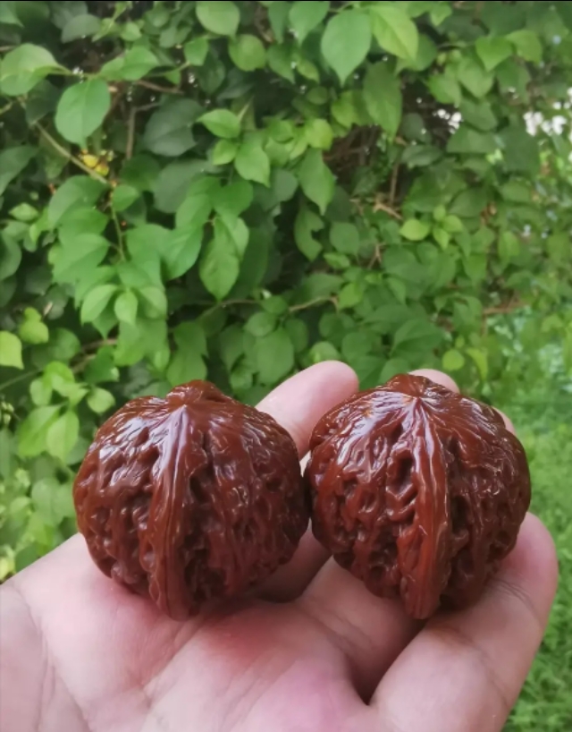 怎么挑一对文玩核桃,怎么选择适合自己的文玩核桃