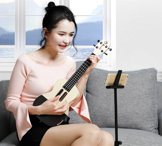 设计感超强的尤克里里,海龟尤克里里