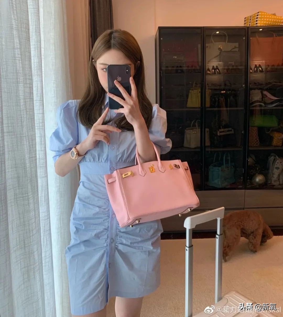 张大奕抄袭,张大奕抄袭事件后续