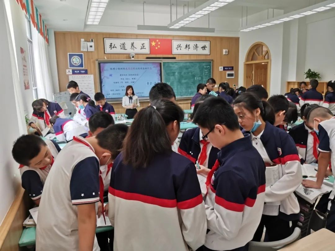 新川外国语学校建校时间,新川外国语学校2021年