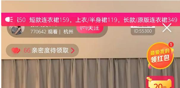 张大奕与网红对比,张大奕山寨品牌排行