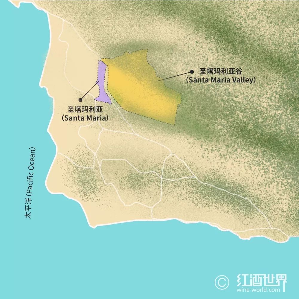 唯一和勃艮第抗衡的黑皮诺,勃艮第黑皮诺2020