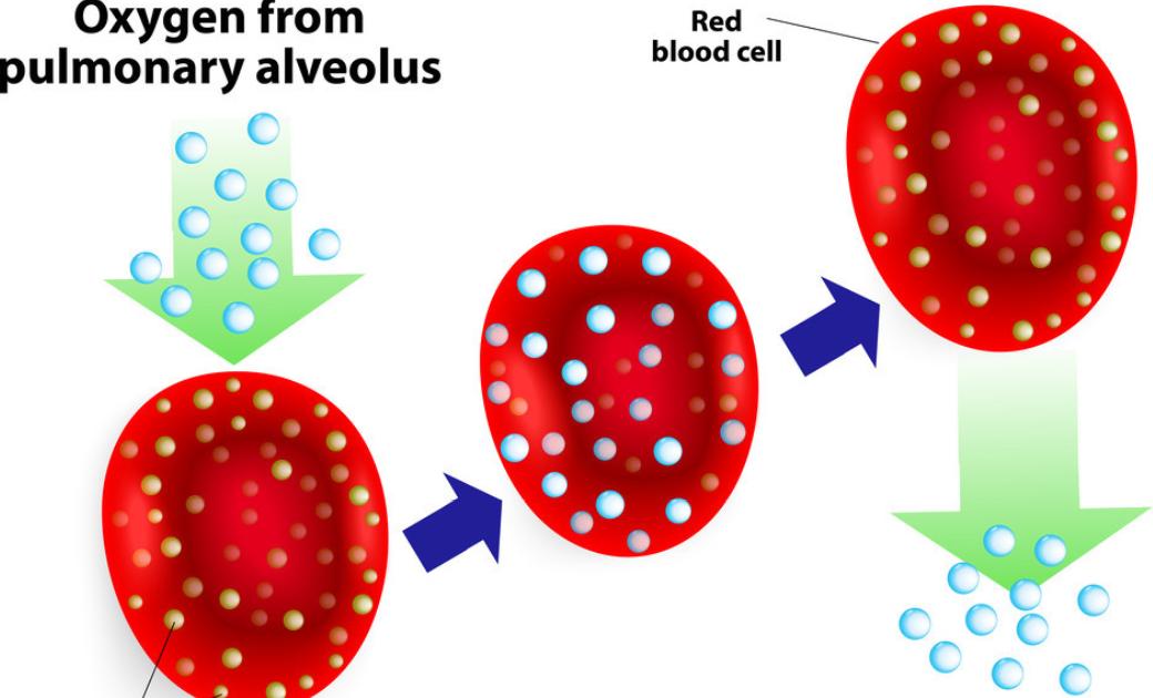 除了血压和血糖可以自测还有什么,除了测量有没有其他办法测血压