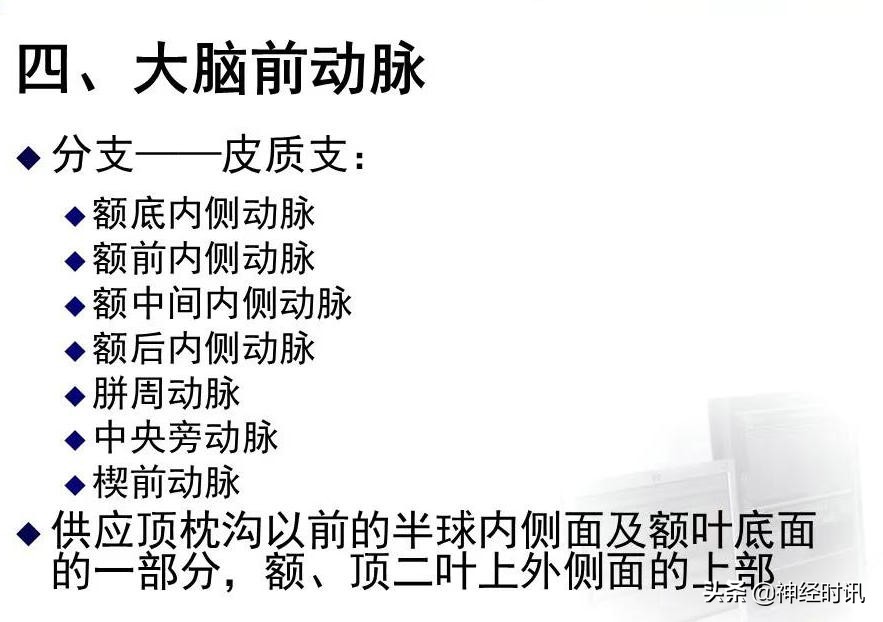 脑动脉解剖学讲解,脑膜中动脉解剖讲解