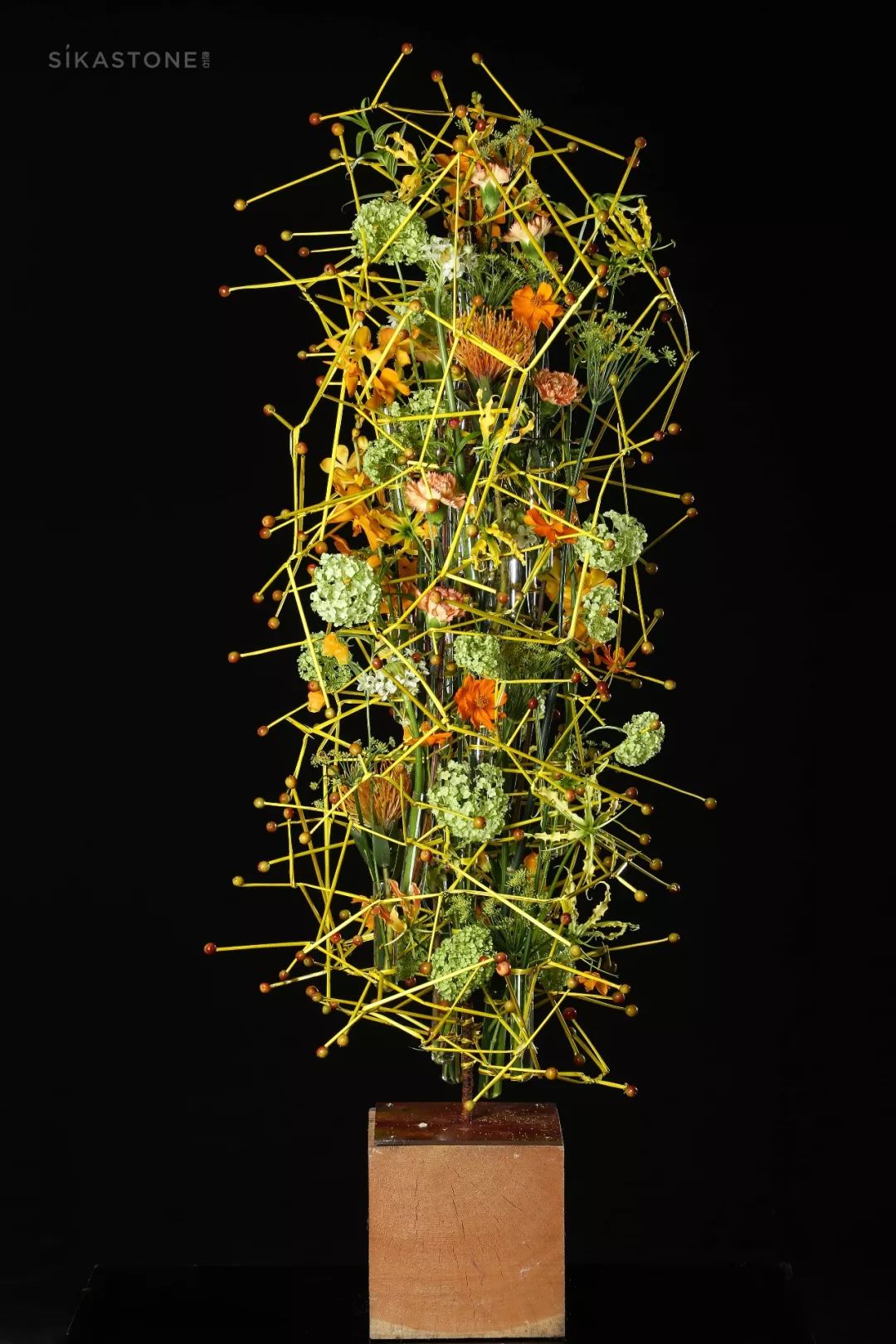 2018最热门的新技术盘点,盘点最强的掌法