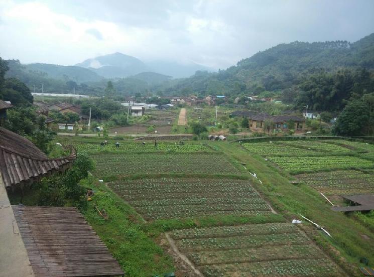 1000亩地怎样打造一个生态农场,300亩农场建设视频