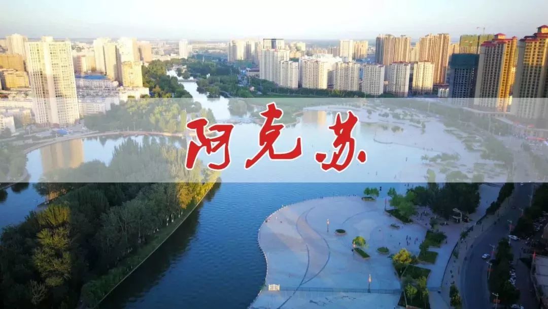 阿克苏在新疆的经济排名,阿克苏最强的县