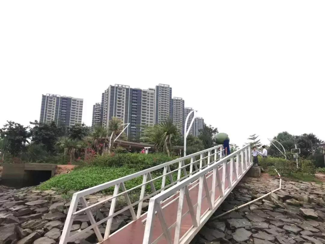 红树林二手房首付,热销楼盘红树林花园二手房