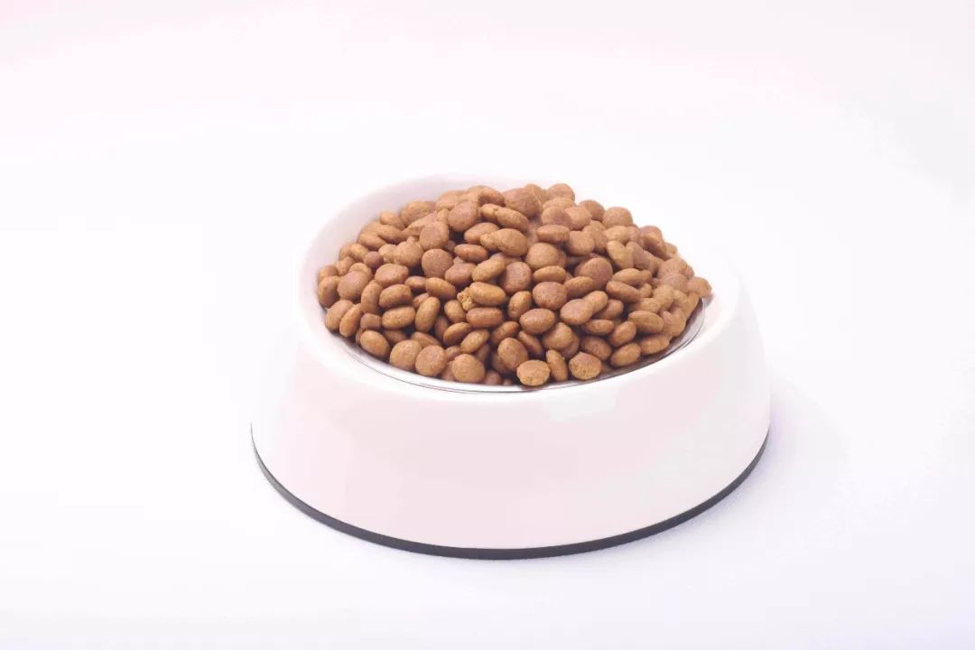 猫咪吐毛球然后连续吐胃液怎么办,猫咪吐毛球怎么解决毛球症