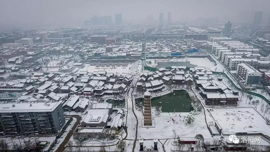 洛阳牡丹花会邀请,洛阳邀请全世界人民看牡丹