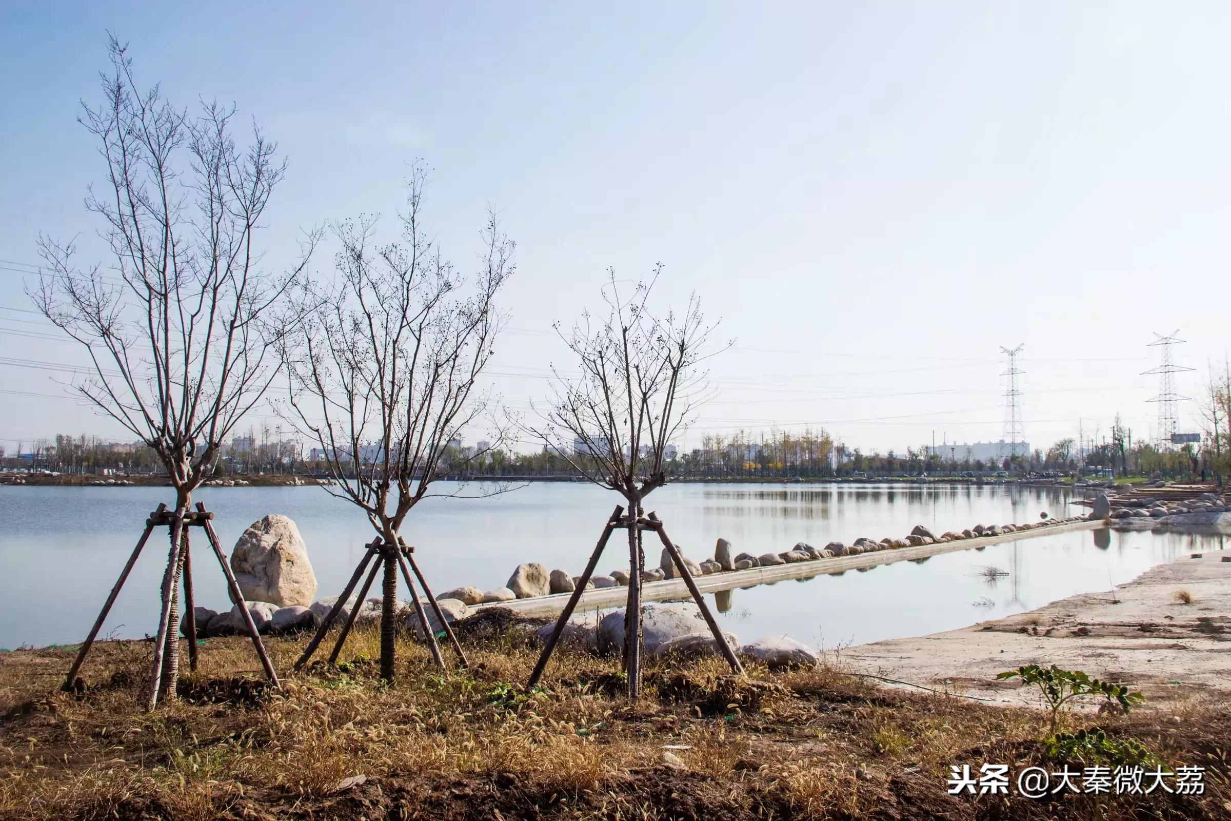 大荔玫瑰湖畅想曲（组图）