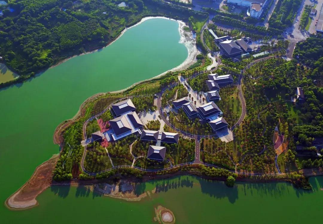 武汉经济第一镇,武汉市经济第一区