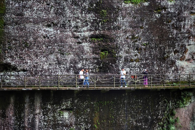 梅州采茶,梅州采茶体验