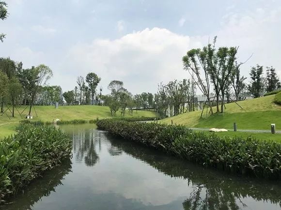 金融城三期最新方案,最新工程进度视频