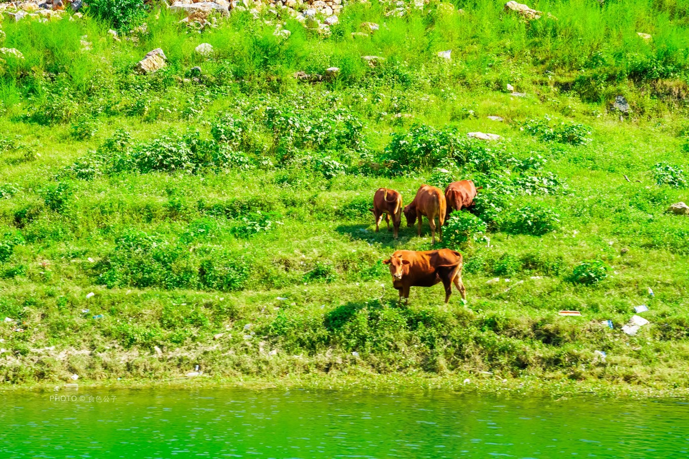 贵州乌江源百里画廊风景观景台,贵阳百里画廊